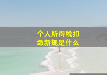 个人所得税扣缴新规是什么