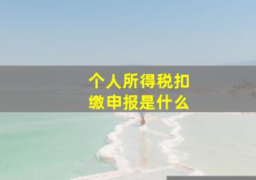 个人所得税扣缴申报是什么