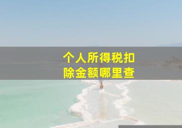 个人所得税扣除金额哪里查