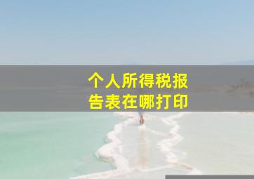 个人所得税报告表在哪打印