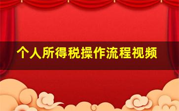 个人所得税操作流程视频