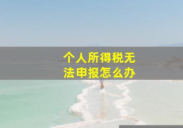 个人所得税无法申报怎么办