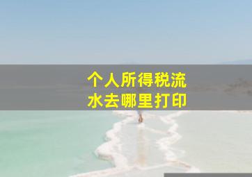 个人所得税流水去哪里打印