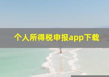 个人所得税申报app下载