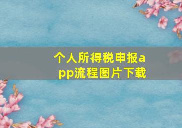 个人所得税申报app流程图片下载