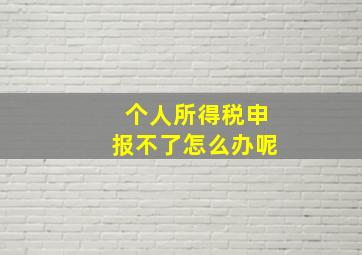 个人所得税申报不了怎么办呢