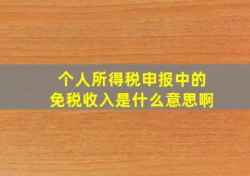 个人所得税申报中的免税收入是什么意思啊