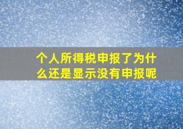 个人所得税申报了为什么还是显示没有申报呢