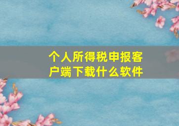 个人所得税申报客户端下载什么软件