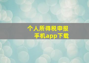 个人所得税申报手机app下载