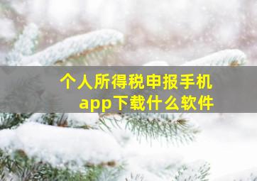 个人所得税申报手机app下载什么软件