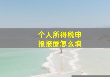 个人所得税申报报酬怎么填