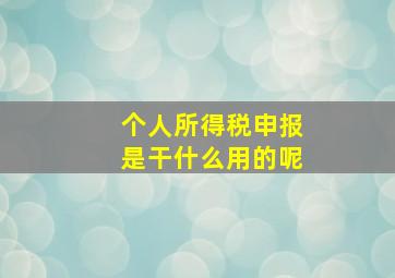 个人所得税申报是干什么用的呢