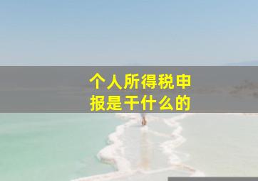 个人所得税申报是干什么的