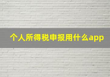 个人所得税申报用什么app