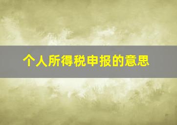 个人所得税申报的意思