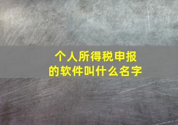 个人所得税申报的软件叫什么名字