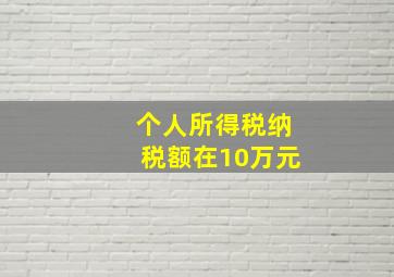 个人所得税纳税额在10万元