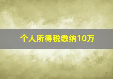 个人所得税缴纳10万