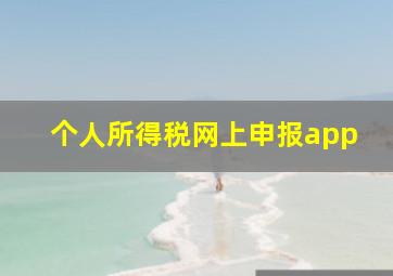 个人所得税网上申报app