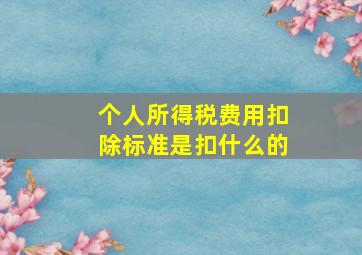 个人所得税费用扣除标准是扣什么的