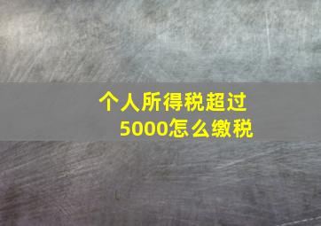 个人所得税超过5000怎么缴税