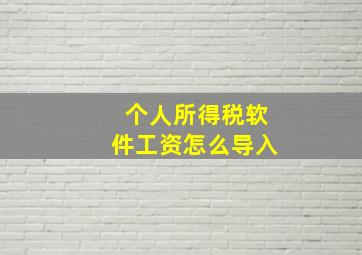 个人所得税软件工资怎么导入