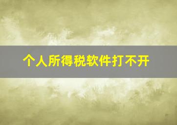 个人所得税软件打不开