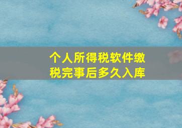 个人所得税软件缴税完事后多久入库