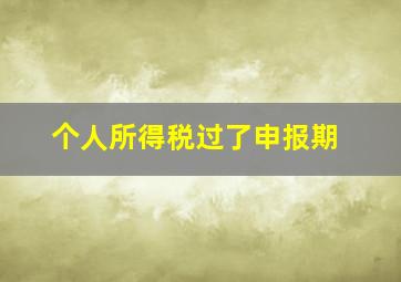 个人所得税过了申报期