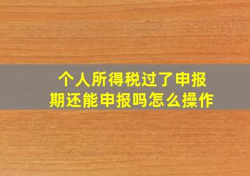 个人所得税过了申报期还能申报吗怎么操作