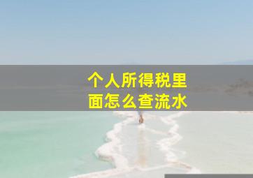 个人所得税里面怎么查流水