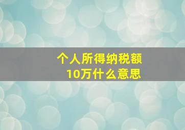 个人所得纳税额10万什么意思