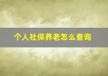 个人社保养老怎么查询