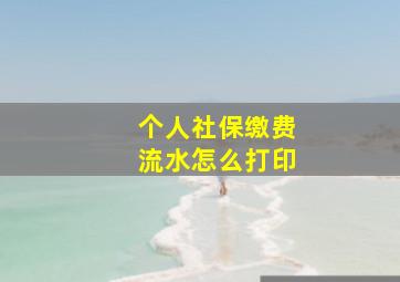 个人社保缴费流水怎么打印