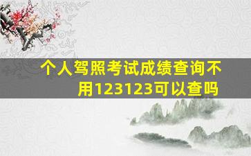 个人驾照考试成绩查询不用123123可以查吗