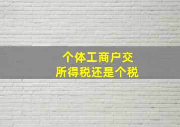 个体工商户交所得税还是个税