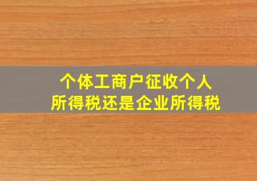 个体工商户征收个人所得税还是企业所得税