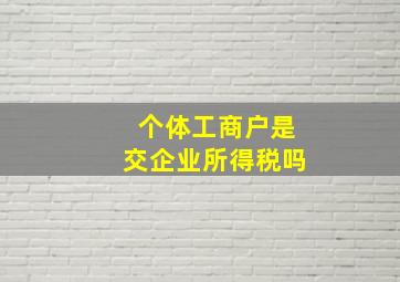 个体工商户是交企业所得税吗