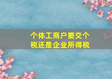 个体工商户要交个税还是企业所得税