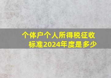 个体户个人所得税征收标准2024年度是多少