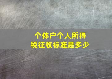 个体户个人所得税征收标准是多少