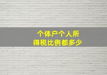 个体户个人所得税比例都多少