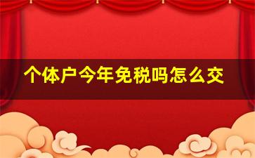 个体户今年免税吗怎么交