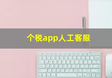 个税app人工客服