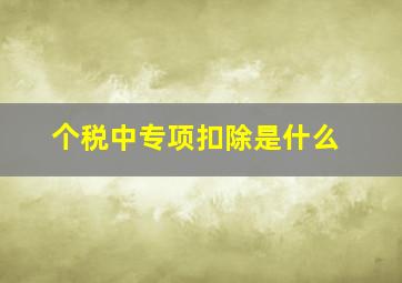 个税中专项扣除是什么