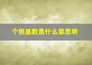 个税基数是什么意思啊