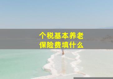 个税基本养老保险费填什么