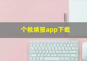 个税填报app下载