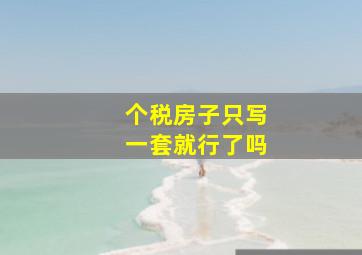 个税房子只写一套就行了吗